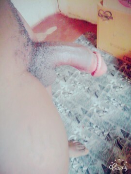 Mr Dick photo 6