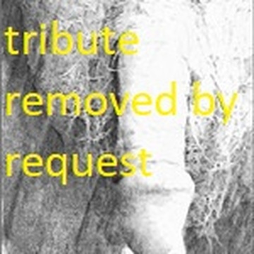 tributes for my friends #3 photo 56