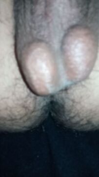 Testículos pene photo 16